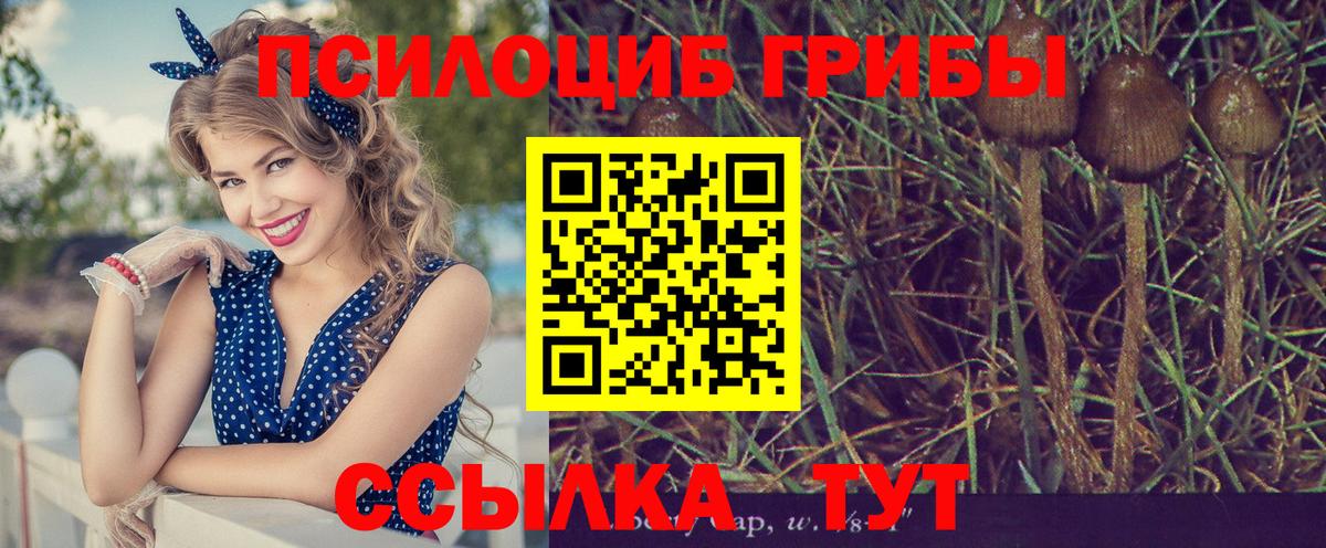 Псилоцибиновые грибы мухоморы  где купить наркоту  Карпинск  Вход с VPN 